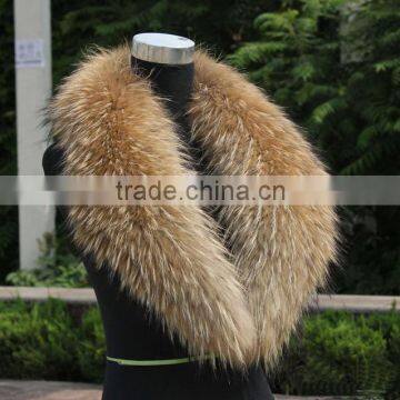 Genuine raccon fur collar for garment with good price