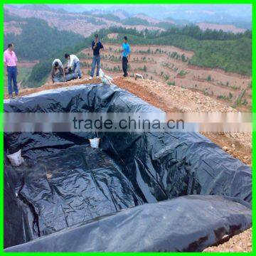 High Density Plastic Waterproofing Membrane Polethylene Geomembrane photo-3