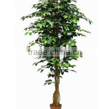 artificial ficus trees