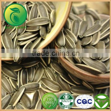 Sunflower Seeds Refined Sunflower Oil