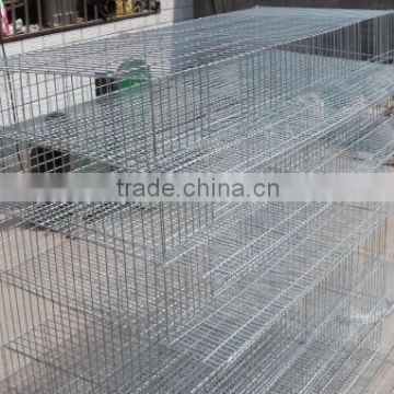 quail cage for zimbabwe farm,quail cage philippines,quail cage iron