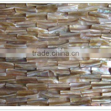 Fresh water river Shell tooth shell mosaic walltiles