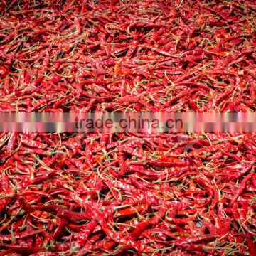 Quality Dried Red Chili