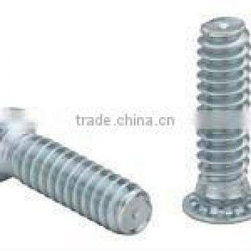 self - clinching screw