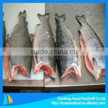 Import products frozen chum salmon