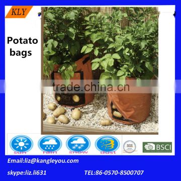 garden Potato bags pots with handle GROWN bags