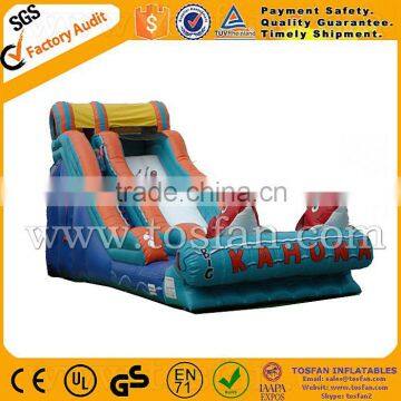 Super Quality Inflatable Slides for Outdoor A4049 photo-2