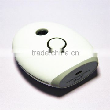 Guangdong factory high quality facial steamer with lamp Korea technology