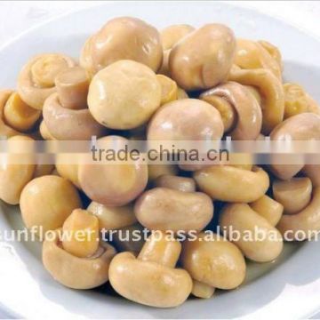 Good Quality Blended Canned Mushroom Champignon