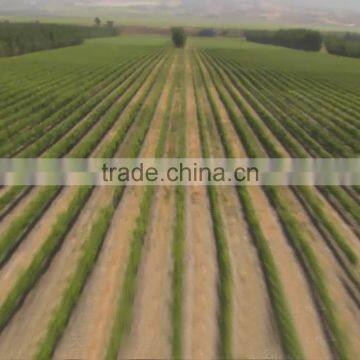 Agriculture Potassium Humate Fertilizer Used in West Soil Conditioner photo-4
