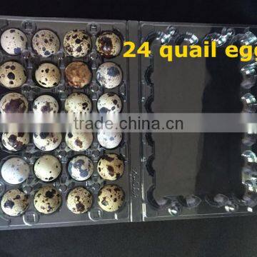 Poultry equipment PET egg packaging tray PVC clear Quail egg tray /quail egg packing box for sale