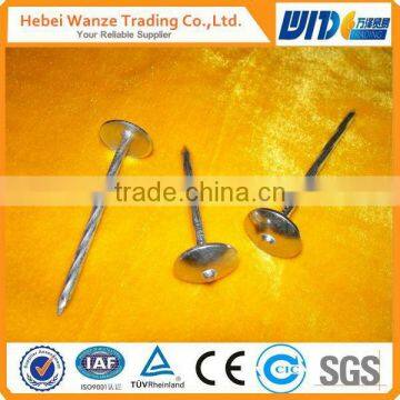 hot sale galvanized umbrella head rubber washer roofing nails factory