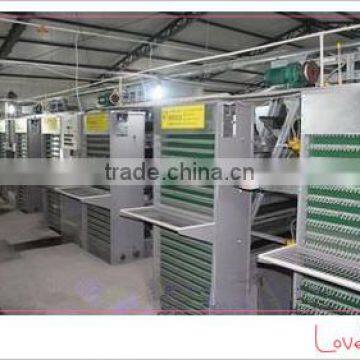 Chicken layer house of Automatic egg collecting machine