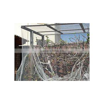 2016 jinan Environmentally friendly Fruit Fly Nets