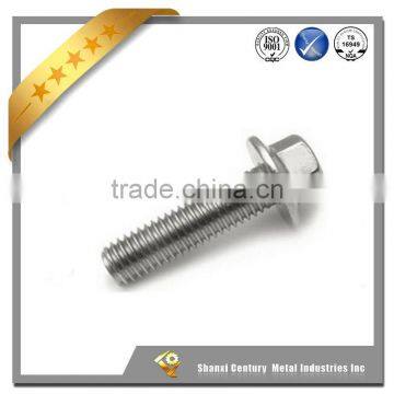 Customized Flange Head Hex Bolts With Hex Nuts,washer photo-3