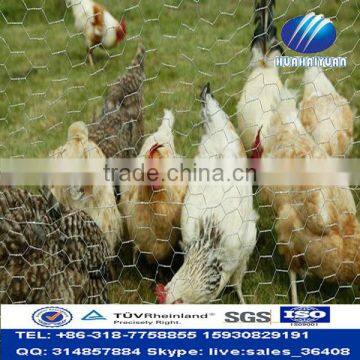 Wholesale high quality Anping Hexagonal wire mesh chicken fence