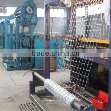 Cheap Animal Wire Mesh Fence for Sale (Big Factory in Anping) photo-5