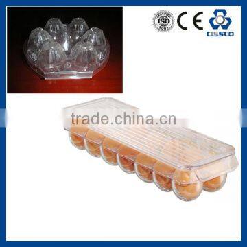 PP PS PE PET EGG Egg Tray Making Machine photo-5