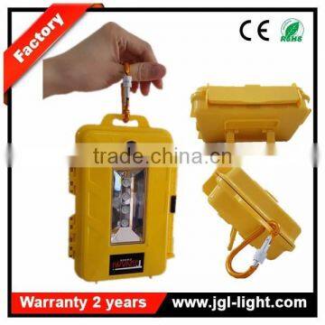 Most Popular Products Flood Light 12w IP67 Waterproof Led Light for Camping , Car Repair photo-3