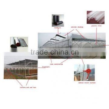 Multi-span Tunnelgreenhouse for Vagetable photo-4