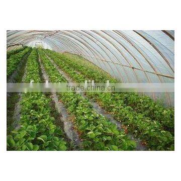 Tunnel Greenhouse Film Cover Low Cost Agricultural Farm Steel Frame Comercial Green House Single Span photo-3