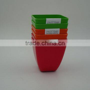 Biodegradable Bamboo Mini Plant Pot and Flower Pot photo-6