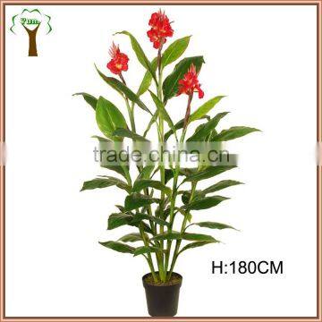 Red flowers blossoming banana plant artificial