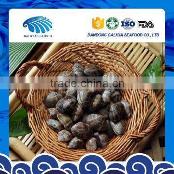 Frozen Vacuumed Variegated Clam With Favorable Price