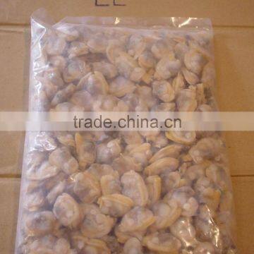 High Quality Frozen Cooked Short Necked Clam Meat photo-4