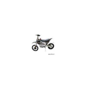 Sell 125cc Pit Bike