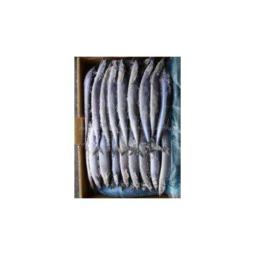 Supply Pacific Saury photo-2