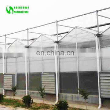 Low Price Complete Polycarbonate Greenhouse Garden Greenhouse With Hydroponic Strawberry Growing System