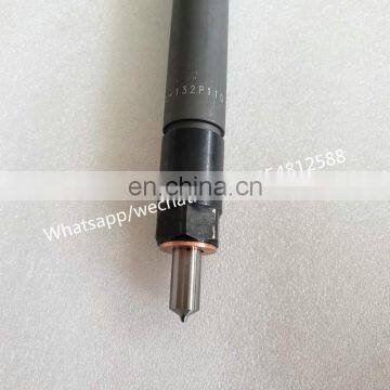 Diesel Fuel Injector KBEL132P110 for WEICHAI WD615 Engine photo-2