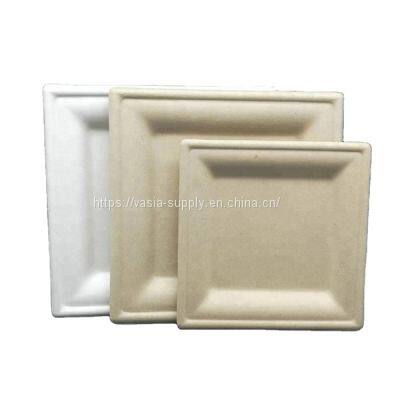 Square Disposable Tableware, Compostable and Biodegradable Sugarcane Bagasse Eco-Friendly Dinnerware plates for Party, Camping, Picnic