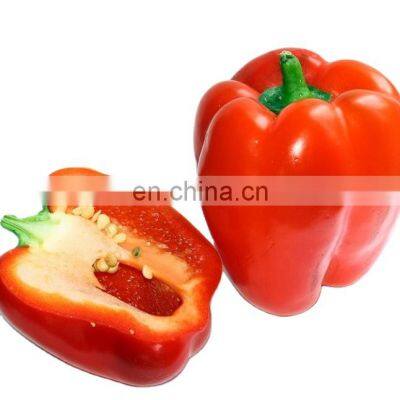 healthy vegetable rich in vitamin frozen bell pepper with good quality and moderate price in China