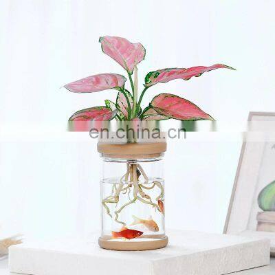 Transparent Hydroponic Flower Pot Imitation Glass Soilless Planting Potted Green Plant Resin Flower Pot Home Vase Decor