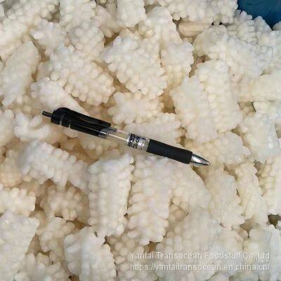 Squid Flower photo-2