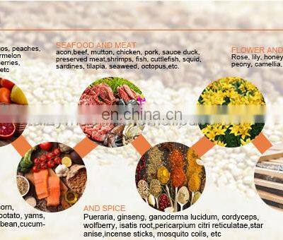 Custom Design Sri Lanka Black Pepper Chilli Dryer and Sesame Seeds Drying Machine photo-5