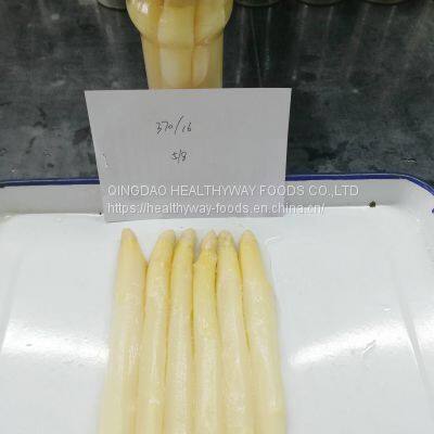 Canned White Asparagus photo-3