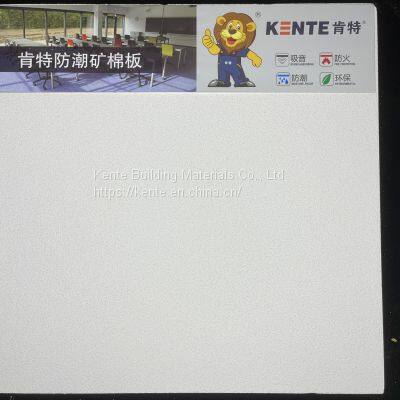 RH01 Pattern 600*600 Moisture-proof Mineral Wool Board With Thickness 10mm