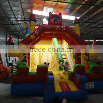 Giant Inflatable Pool Slide photo-3