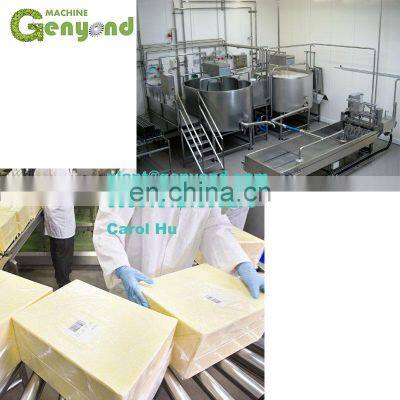 Hot Selling Cheese Plant for Sale photo-4