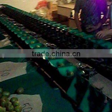 Vegetable Weighting Sorting Machine for tomato, beans,pear, kiwi fruit, apple