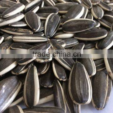 Chinese sunflower seed market price