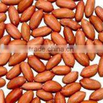 Chinese Roasted and salted Peanut Kernels