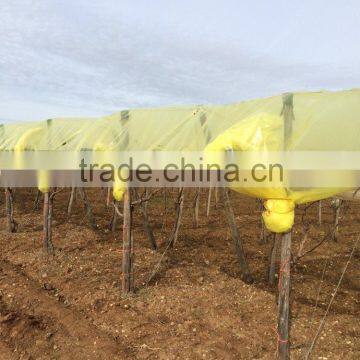 horticulture greenhouse pe film with anti uv resistance and EVA PO greenhouse winter film cover