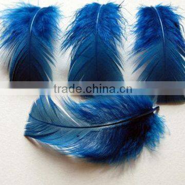 Dyed turkey feather