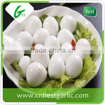 Import fresh quail eggs