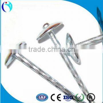 Zinc coated roofing nails