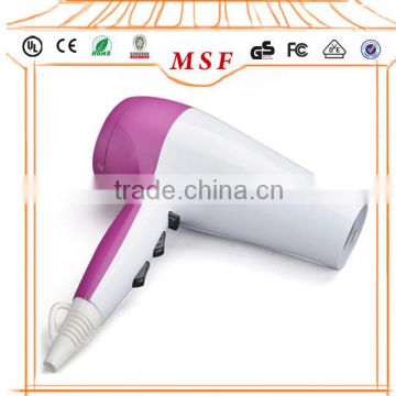 Professional Household Ionic Hair Dryer